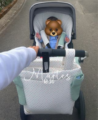 Vestidura carrito bebé con bolso