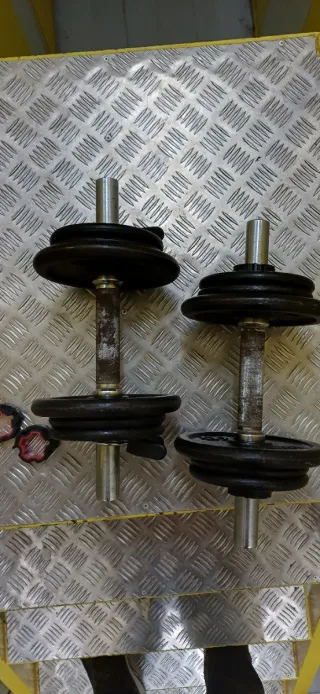 Manubri da 10 Kg (coppia)