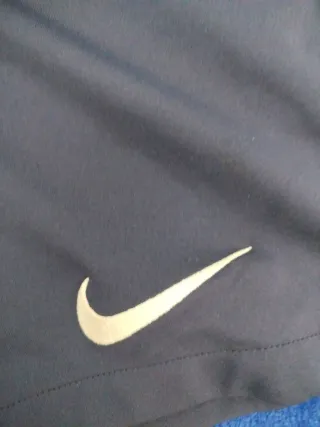 Pantalones cortos Nike PSG Azul