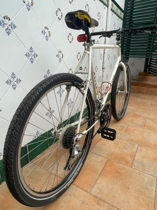 Bicicleta Macario Pulsar