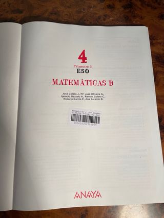 Matemáticas B 4