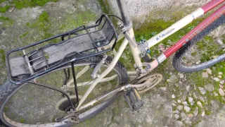 Bicicleta de Montaña