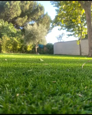 Césped Artificial