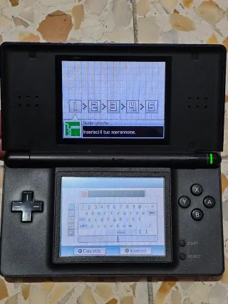 2 Nintendo DSi Lite per ricambi