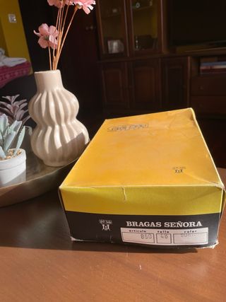 Bragas Señora GIL MAS Talla 48 Algodón