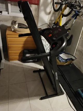 Cinta de correr Bodytone DT12