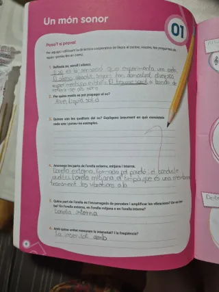 Musiquem, Música 1 ESO. Diari d'aprenentatge