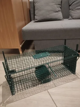 Jaula/Transportín Mascotas Verde