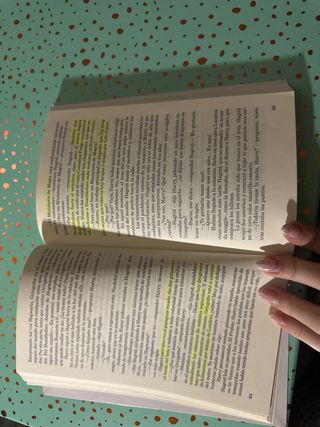 Harry Potter y la piedra filosofal (Harry Potte...