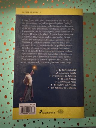 Harry Potter y la piedra filosofal (Harry Potte...