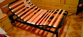 Cama Eléctrica Articulada