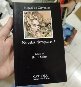 Libro novelas ejemplares 1