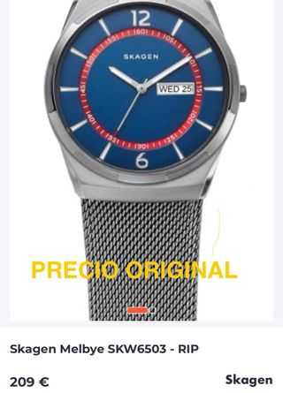 Reloj Skagen Azul y Plateado