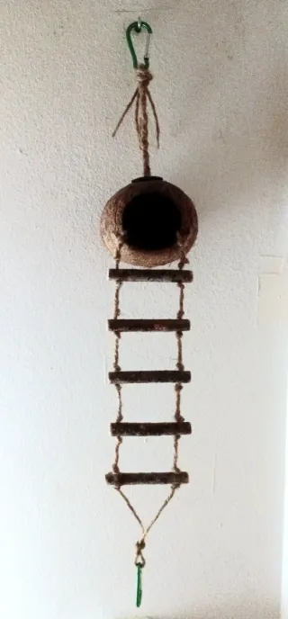 Pack para agapornis/periquitos: Nido y Escalera