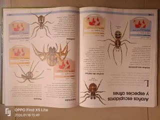Libro ilustrativo-educativo de insectos+aracnidos
