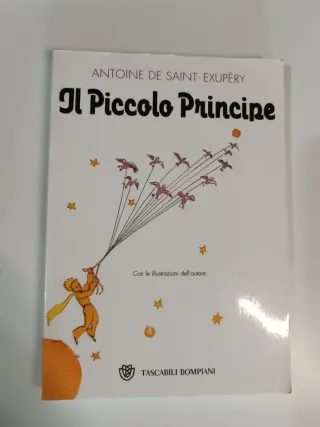 il_piccolo_principe