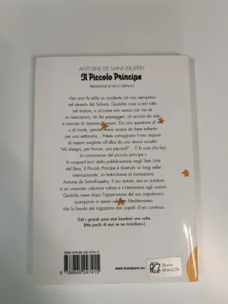 il_piccolo_principe