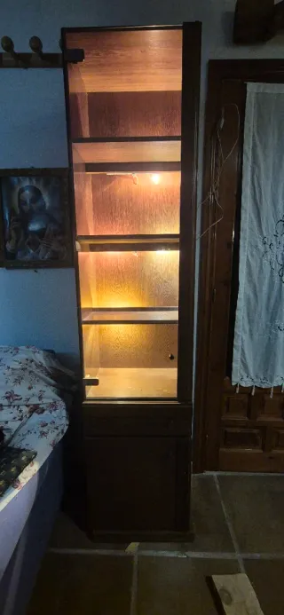 Mueble vitrina con luz