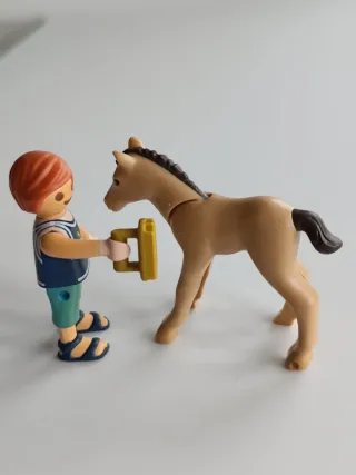 Playmobil niño y caballo con cepillo