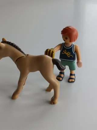 Playmobil niño y caballo con cepillo