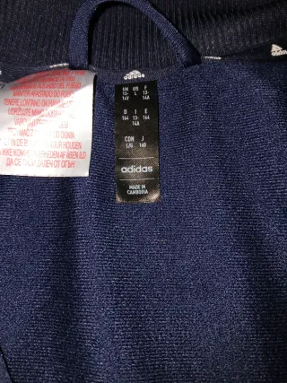 Chándal Adidas Tiberio Azul y Verde