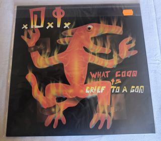 Vinile Punk Rock What Good Is Grief To A God