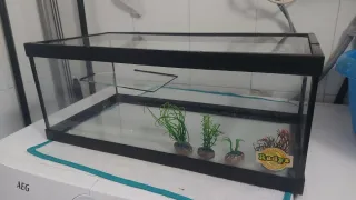 Tortuguera de cristal y plástico