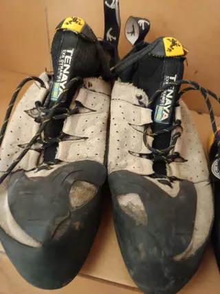 Pies de gato Tenaya Tarifa