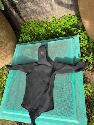 Traje Neopreno Beuchat Completo