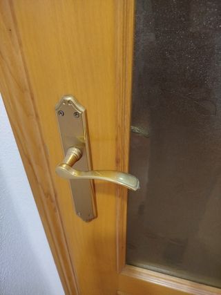 Puerta de paso Haya con cristal