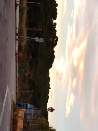 Habitación alquiler