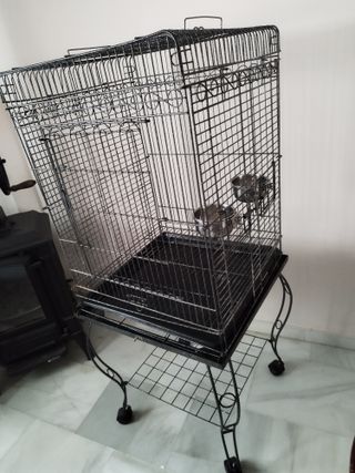 Jaula grande para ninfas