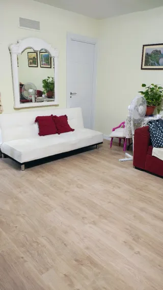 Manitas, Multiservicios