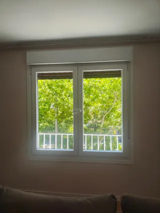 Manitas, Multiservicios