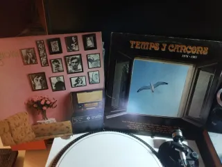 10 Vinilos Música Catalana Años 80