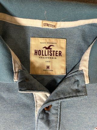Polo Hollister