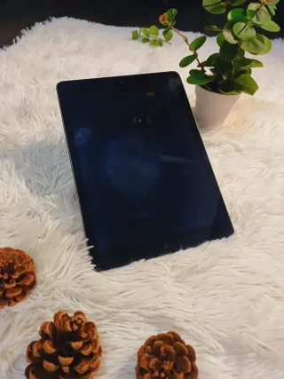 iPad Air Gris Espacial