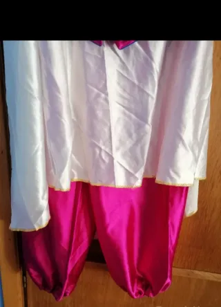 Vestito Carnevale Blu e Rosa