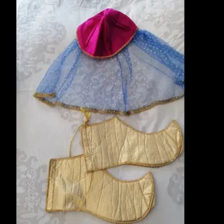 Vestito Carnevale Blu e Rosa