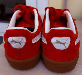 Puma Palermo Rojas