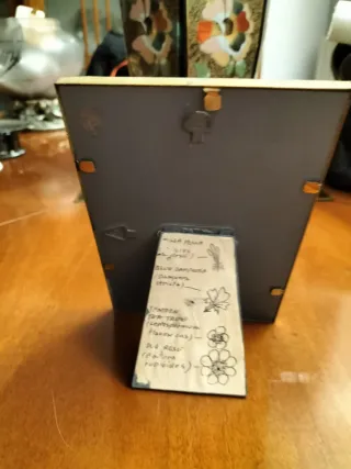 Quadretto vintage fiori secchi Bowen