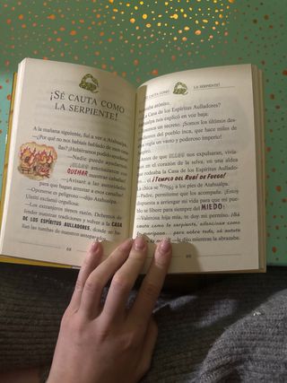 El templo del rubí de fuego: Geronimo Stilton 48