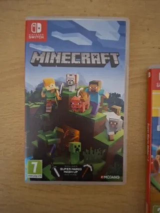 Minecraft Nintendo Switch