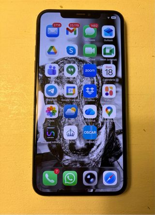 iPhone 11 Pro Max 256 GB Gris Espacial