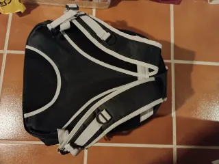 Transportín burbuja para gato