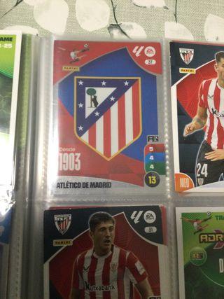 Cromos Adr Panini