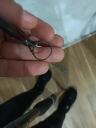 Caña de pescar Shimano