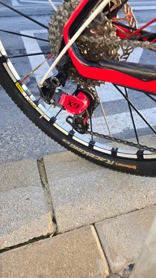 Bicicleta MTB Specialized in carbonio