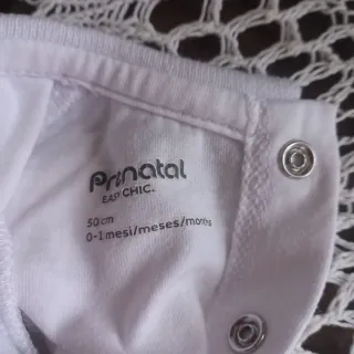 Pagliaccetto neonato tigre e giungla