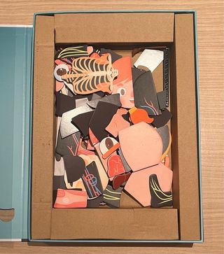 Juguettos Aprendo el Cuerpo Humano STEM